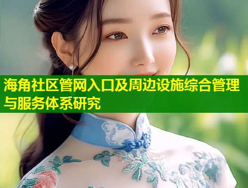 海角社区管网入口及周边设施综合管理与服务体系研究