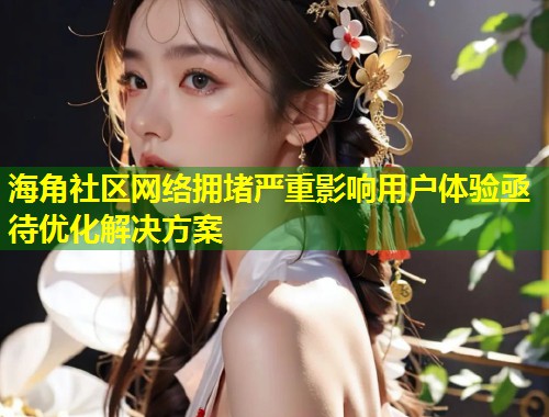 海角社区网络拥堵严重影响用户体验亟待优化解决方案