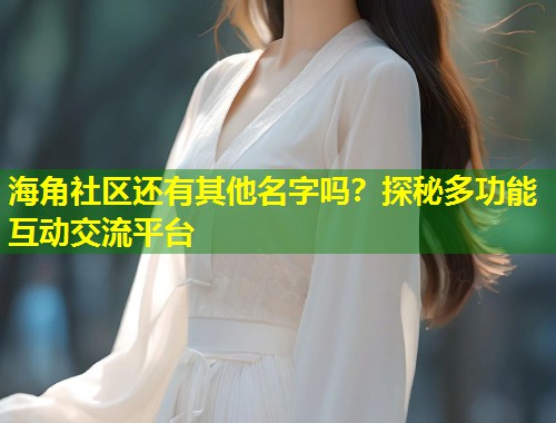 海角社区还有其他名字吗？探秘多功能互动交流平台