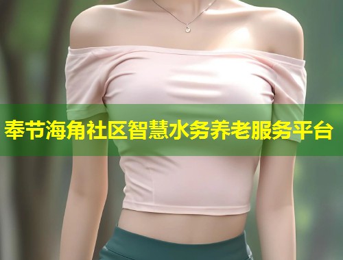 奉节海角社区智慧水务养老服务平台