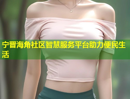 宁晋海角社区智慧服务平台助力便民生活