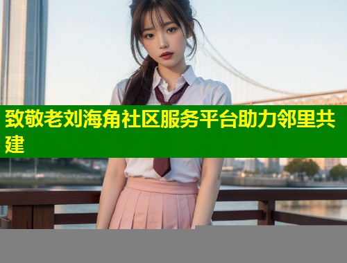致敬老刘海角社区服务平台助力邻里共建