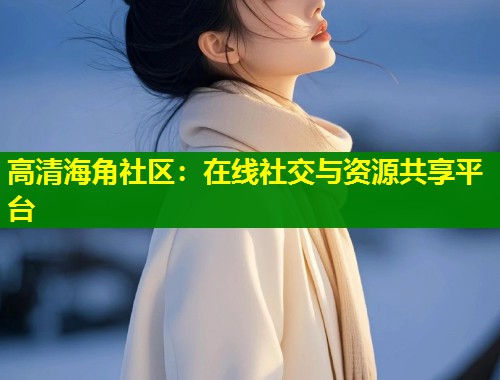 高清海角社区：在线社交与资源共享平台